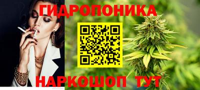 PSILOCYBIN Пугачёв