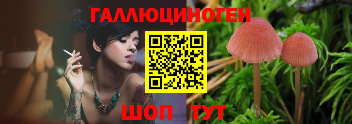 Галлюциногенные грибы Cubensis Сегежа